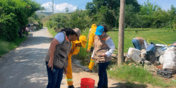 Jornada de erradicación de roedores busca prevenir riesgos sanitarios en Bugalagrande