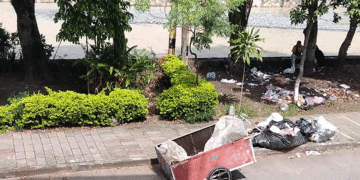 Preocupación en el barrio Villanueva por acumulación de basuras a orillas del río Tuluá