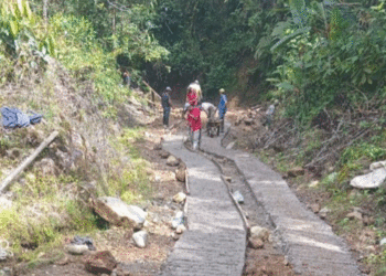 Trabajo conjunto logra transformar las vías rurales de Puerto Frazadas,Tuluá