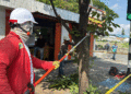 Avanzan labores de poda para despejar semáforos en Tuluá