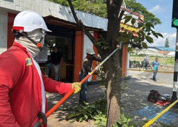 Avanzan labores de poda para despejar semáforos en Tuluá