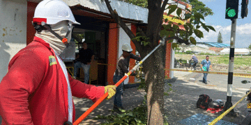 Avanzan labores de poda para despejar semáforos en Tuluá