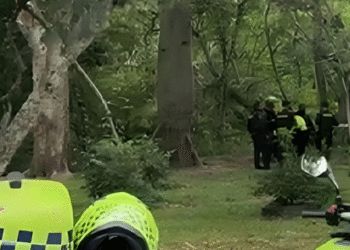 Hallan cabeza humana frente a la cancha de fútbol del barrio Avenida Cali