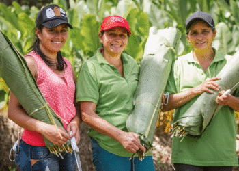 Senado aprueba ley que beneficiará a mujeres rurales en todo el país