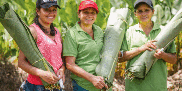 Senado aprueba ley que beneficiará a mujeres rurales en todo el país