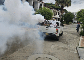 Buga refuerza aspersiones en vía pública para prevenir dengue y fiebre amarilla