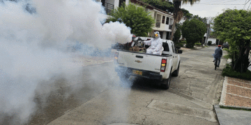 Buga refuerza aspersiones en vía pública para prevenir dengue y fiebre amarilla