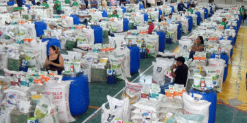 Campesinos de Tuluá recibieron insumos agrícolas gracias al programa Valle Agro 2025