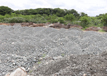 Centro de Bienestar Animal de Tuluá sigue bajo la lupa: la Contraloría exige avances