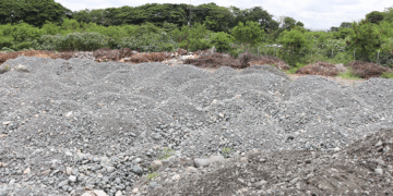 Centro de Bienestar Animal de Tuluá sigue bajo la lupa: la Contraloría exige avances