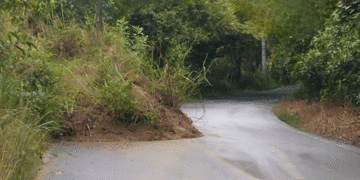 Derrumbes constantes ponen en riesgo a conductores en la vía Tuluá – La Marina