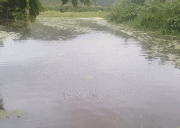 Nueva inundación en El Salto, Andalucía, por desbordamiento del río Cauca