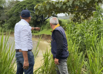 Realizan inspección técnica a vías y puentes en Sevilla