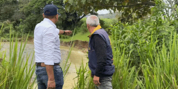 Realizan inspección técnica a vías y puentes en Sevilla