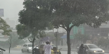 Valle del Cauca, en alerta roja por lluvias: 35 municipios afectados