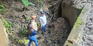 Atienden puntos críticos por deslizamientos en la vereda El Diamante, en Buga