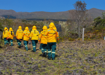 Brigadas comunitarias se fortalecerán para enfrentar incendios forestales