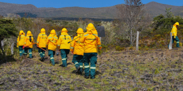 Brigadas comunitarias se fortalecerán para enfrentar incendios forestales