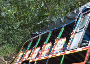 Chiva estuvo a punto de caer a un abismo en zona rural de San Pedro