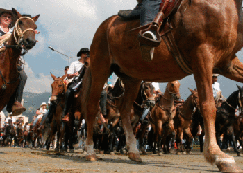 Con la cabalgata arranca la versión 67 de la Feria de Tuluá