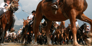 Con la cabalgata arranca la versión 67 de la Feria de Tuluá