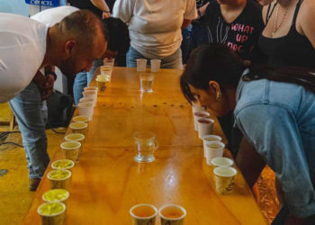 Catadores de café mostraron su talento y creatividad