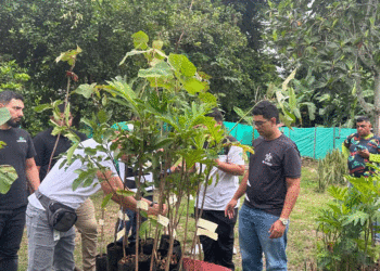 Nueva siembra de árboles fortalece el entorno del río Tuluá