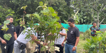 Nueva siembra de árboles fortalece el entorno del río Tuluá