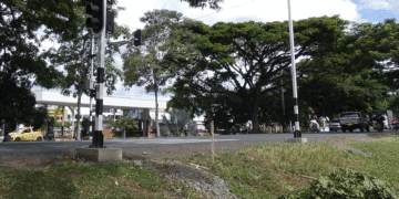 Semáforos peatonales en la 40 y ¿las rampas, para cuándo?