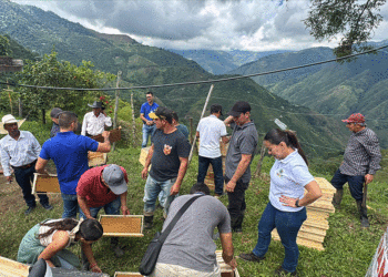 Apicultores reciben insumos para fortalecer sus unidades productivas