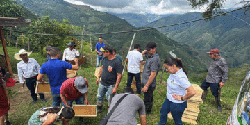 Apicultores reciben insumos para fortalecer sus unidades productivas