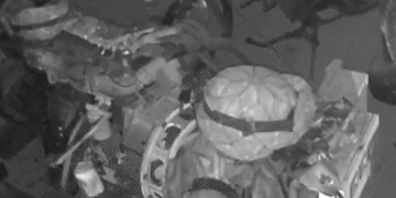 Captan en video a soldados que estarían consumiendo drogas antes de una operación en el Cauca