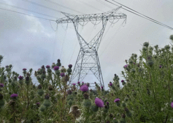 En marcha nuevo plan energético para llevar luz a zonas apartadas del país