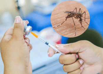 Fiebre amarilla mantiene en alerta a las autoridades de salud