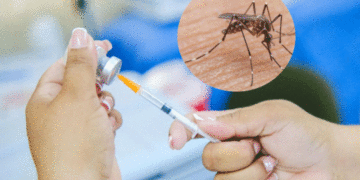 Fiebre amarilla mantiene en alerta a las autoridades de salud