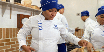 Gobernación del Valle lanza programas técnicos gratuitos