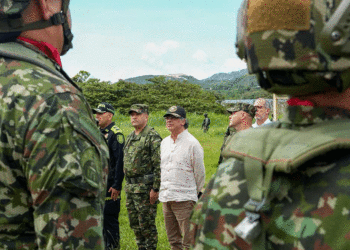 Gobierno plantea nuevo enfoque territorial para la sustitución de cultivos de coca