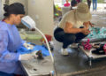 Perros y gatos fueron esterilizados en jornada gratuita en Tuluá