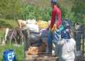 Recolectan residuos inservibles para reducir focos de contaminación