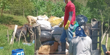 Recolectan residuos inservibles para reducir focos de contaminación