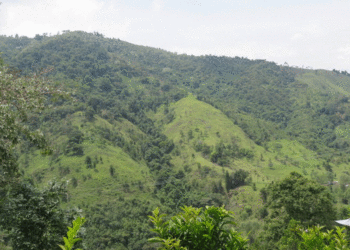 Asesinan a un hombre dentro de una finca en zona rural de Tuluá