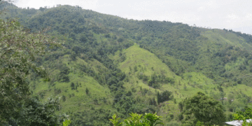 Asesinan a un hombre dentro de una finca en zona rural de Tuluá