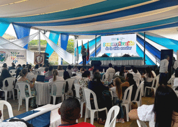 Colegios oficiales del Valle presentan proyectos que innovan la educación