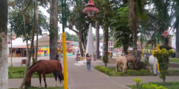 ¿Trujillo, Jardín del Valle o corral improvisado? (Más Caucherazos aquí) 👇🏽 