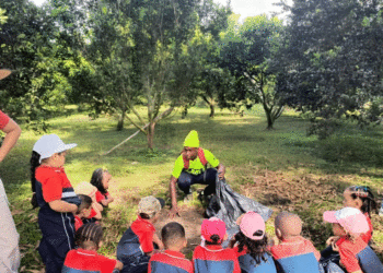 Niños aprendieron la importancia de la sostenibilidad en medio de plantas medicinales y flores
