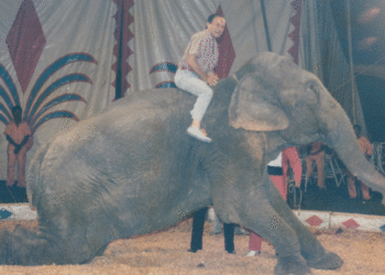 Gardeazábal y sus locuras: un estilo de gobernar que dejó huella