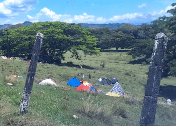 Minga de Cali ocupa finca en Zarzal entregada por la Agencia Nacional de Tierras