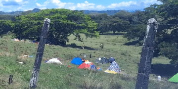 Minga de Cali ocupa finca en Zarzal entregada por la Agencia Nacional de Tierras
