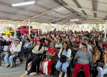Segunda jornada de Renta Ciudadana reunió a más de 250 madres cabeza de hogar