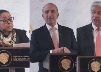 Una tulueña en la terna para la Corte Constitucional